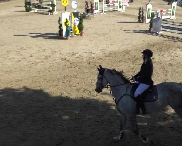 Reitturnier Kirchhellen/Stall Dieckmann 2020