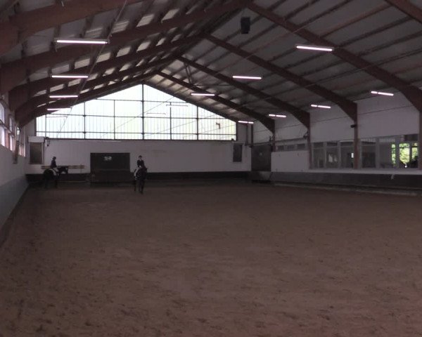 Reitturnier Albersloh 2020