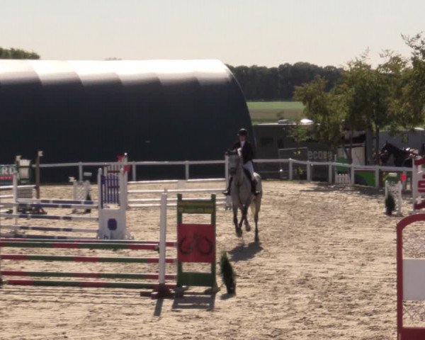 Reitturnier Bad Schmiedeberg 2020