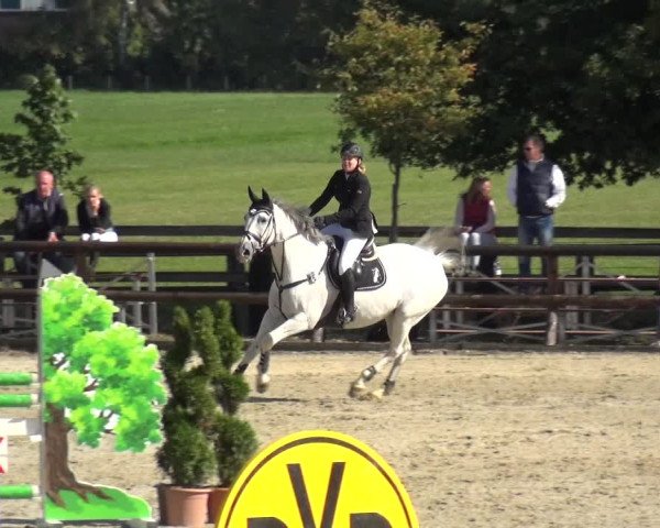 Reitturnier Kirchhellen/Stall Dieckmann 2020