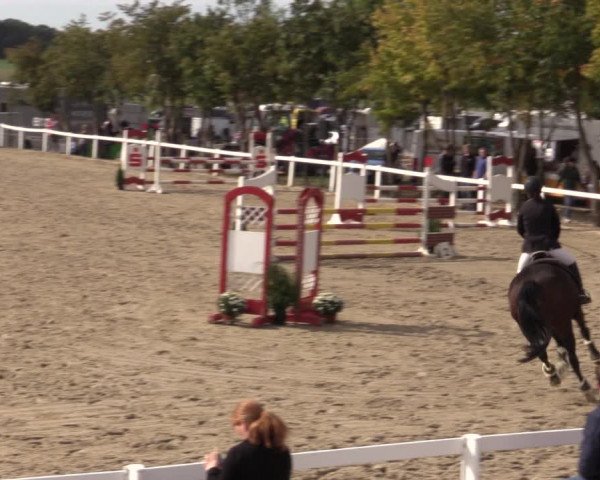 Reitturnier Bad Schmiedeberg 2020