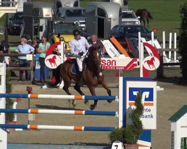 Reitturnier Kirchhellen/Stall Dieckmann 2020