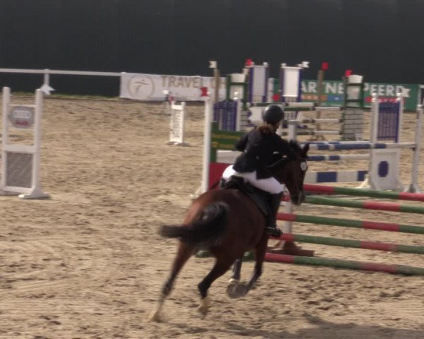 Reitturnier Bad Schmiedeberg 2020