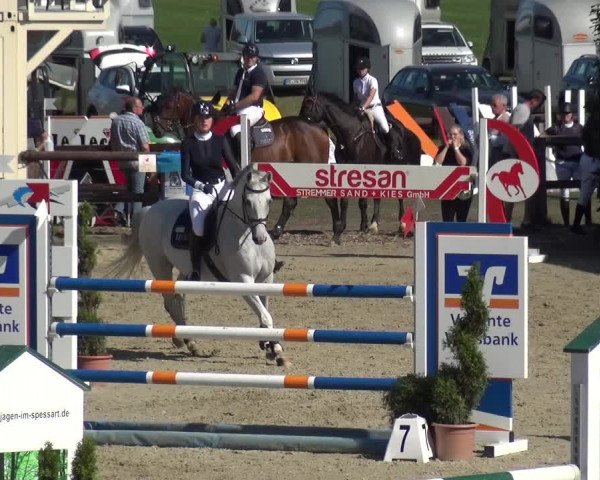 Reitturnier Kirchhellen/Stall Dieckmann 2020