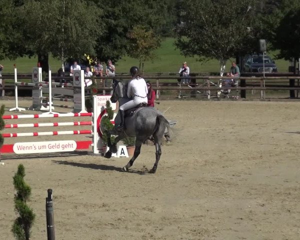Reitturnier Kirchhellen/Stall Dieckmann 2020