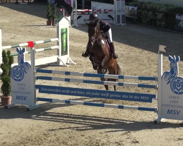 Reitturnier Kirchhellen/Stall Dieckmann 2020
