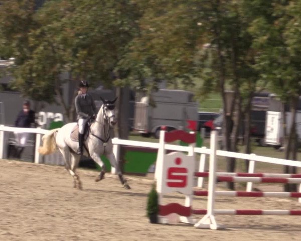 Reitturnier Bad Schmiedeberg 2020