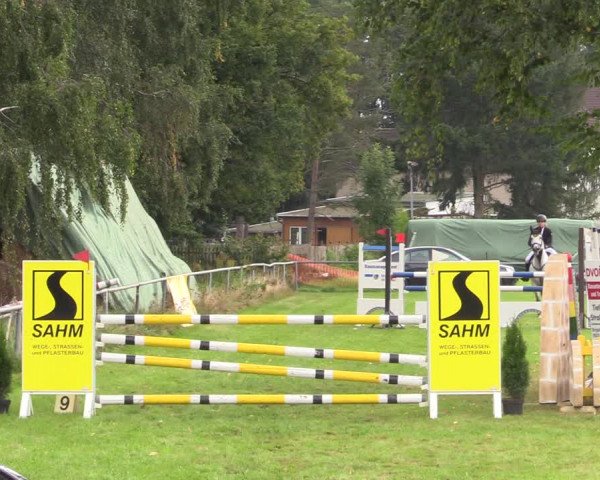 Reitturnier Altmittweida 2021