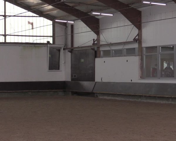 Reitturnier Albersloh 2020