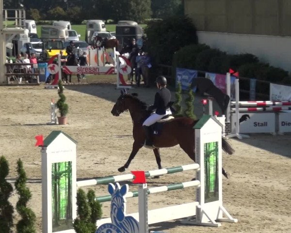 Reitturnier Kirchhellen/Stall Dieckmann 2020