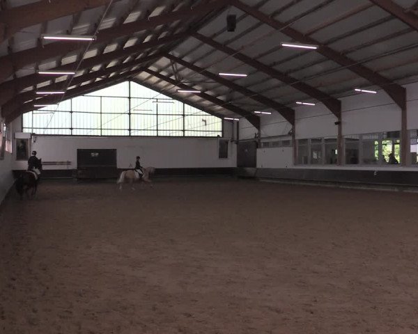 Reitturnier Albersloh 2020