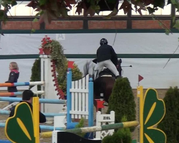 Springpferd Leon 324 (Westfale, 1994, von Lurioso)