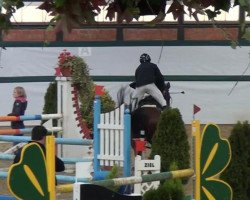 jumper Leon 324 (Westphalian, 1994, from Lurioso)