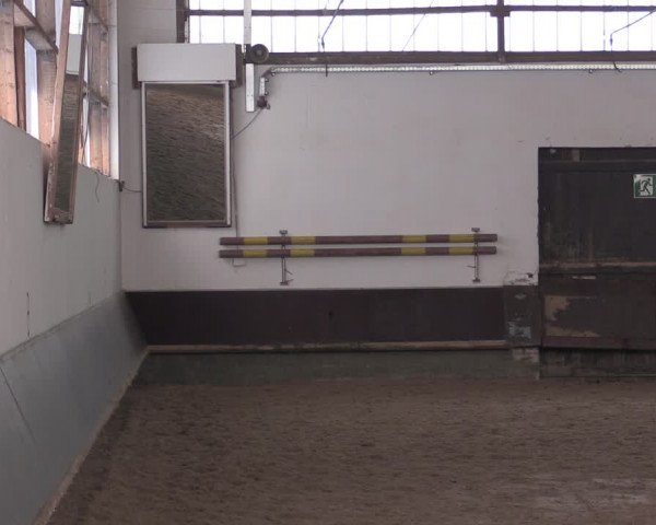 Reitturnier Albersloh 2020