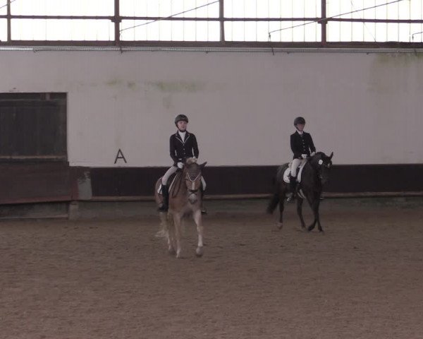 Reitturnier Albersloh 2020