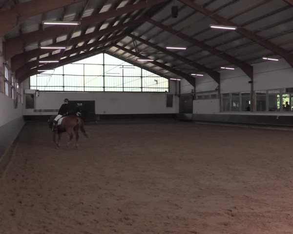 Reitturnier Albersloh 2020