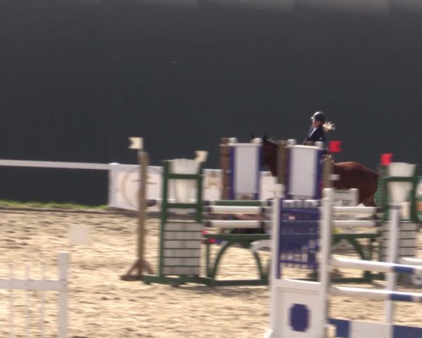 Reitturnier Bad Schmiedeberg 2020