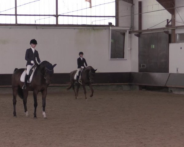 Reitturnier Albersloh 2020