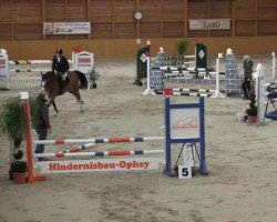 jumper Blue vd Heide (Zangersheide riding horse, 2009, from Balou du Rouet)