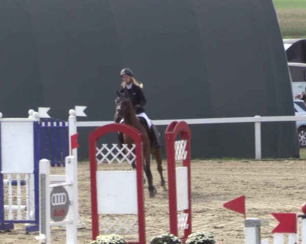 Reitturnier Bad Schmiedeberg 2020