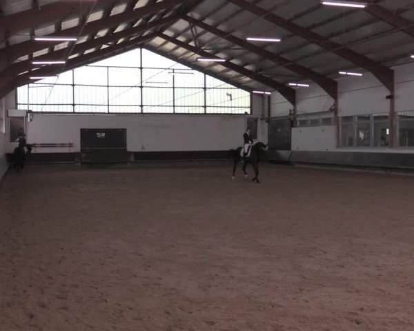 Reitturnier Albersloh 2020