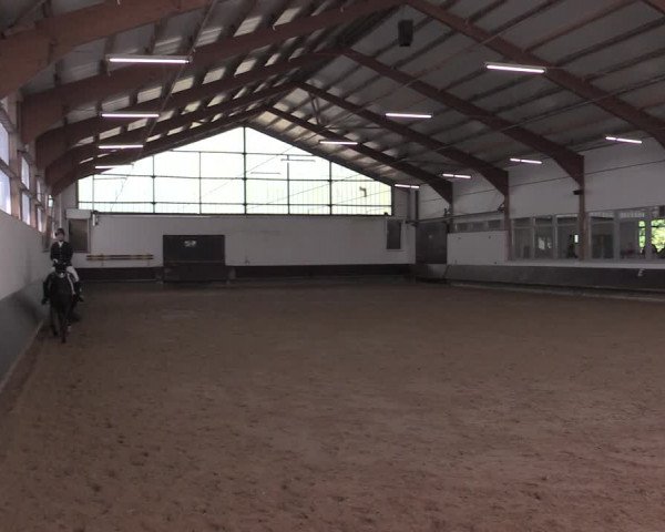 Reitturnier Albersloh 2020