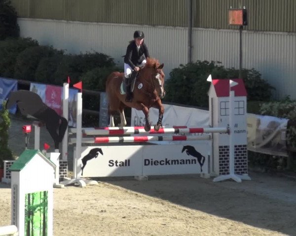 Reitturnier Kirchhellen/Stall Dieckmann 2020