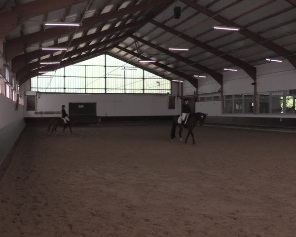 Reitturnier Albersloh 2020