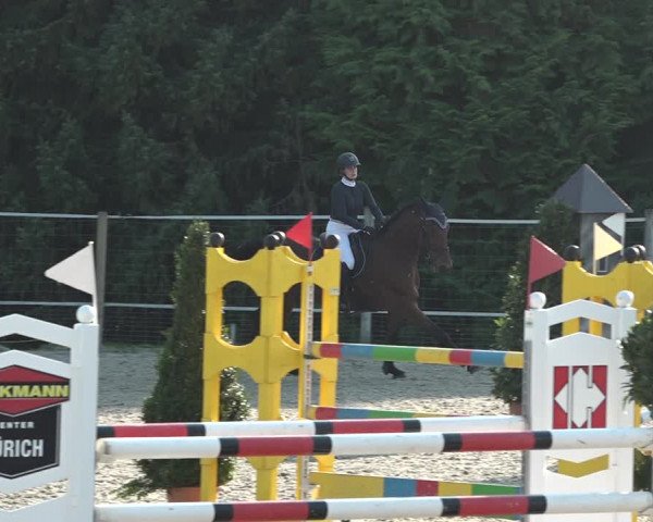 Reitturnier Winkel 2020