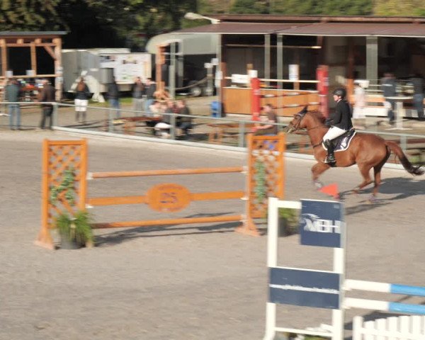 Reitturnier Nesselröden 2020