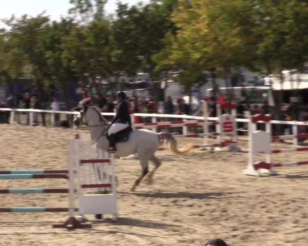 Reitturnier Bad Schmiedeberg 2020