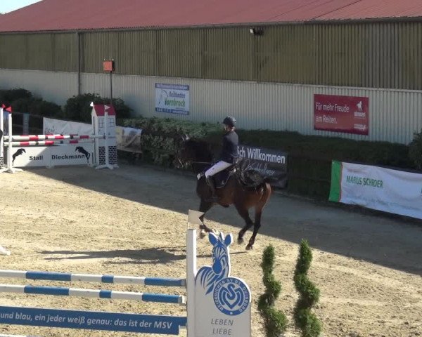 Reitturnier Kirchhellen/Stall Dieckmann 2020
