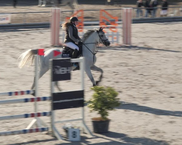 Reitturnier Nesselröden 2020