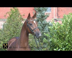 Stallion Flomega (Hanoverian, 2012, from Fidertanz)