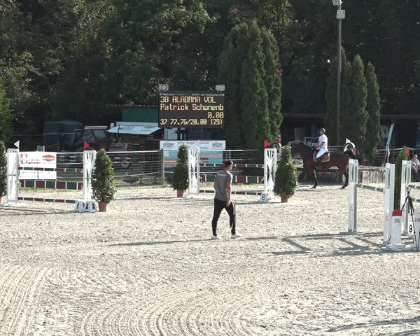 Reitturnier Winkel 2020