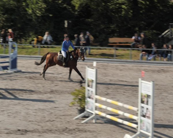 Reitturnier Nesselröden 2020