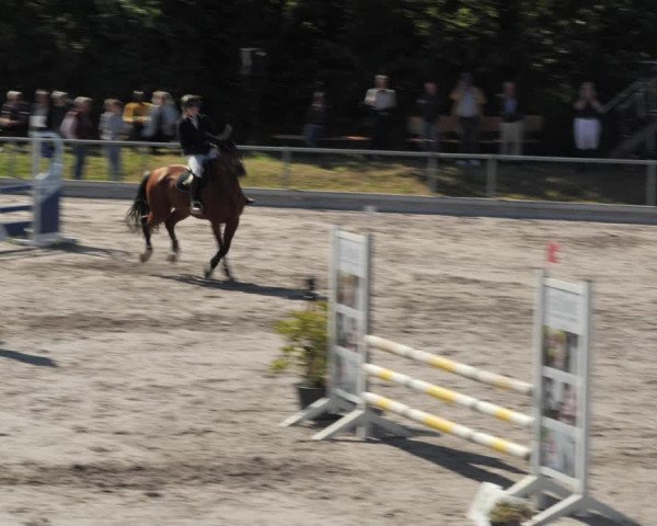 Reitturnier Nesselröden 2020