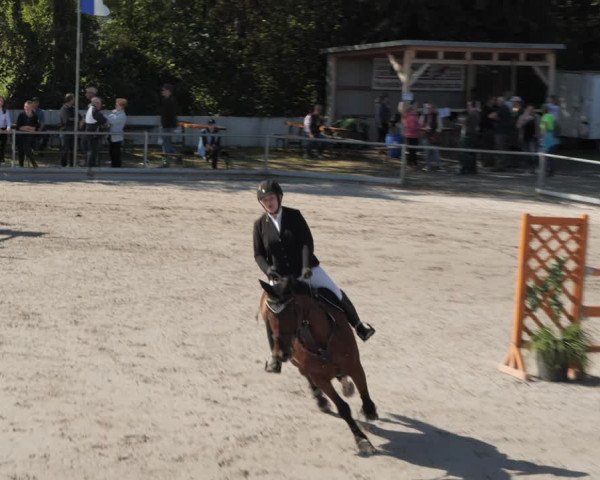 Reitturnier Nesselröden 2020