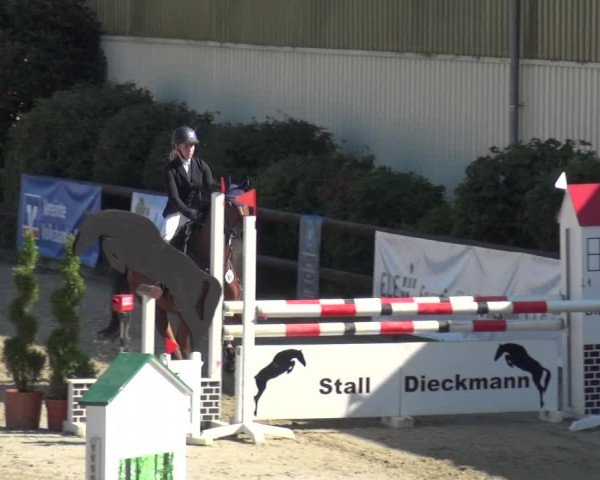 Reitturnier Kirchhellen/Stall Dieckmann 2020