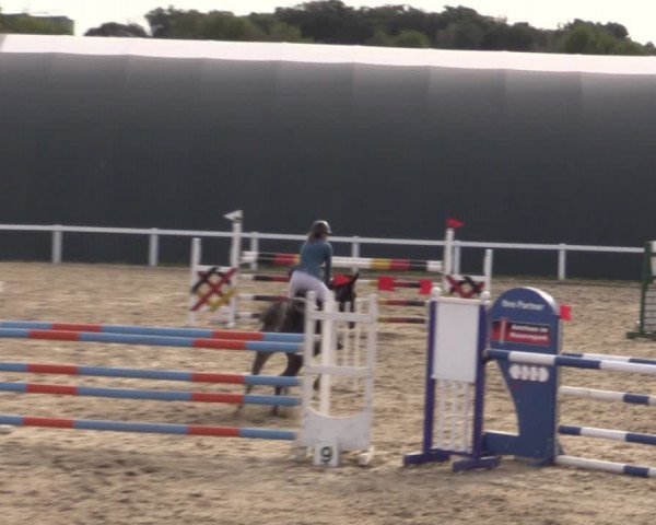 Reitturnier Bad Schmiedeberg 2020