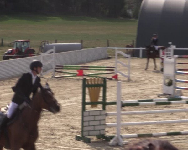 Reitturnier Bad Schmiedeberg 2020