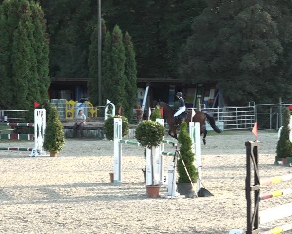 Reitturnier Winkel 2020