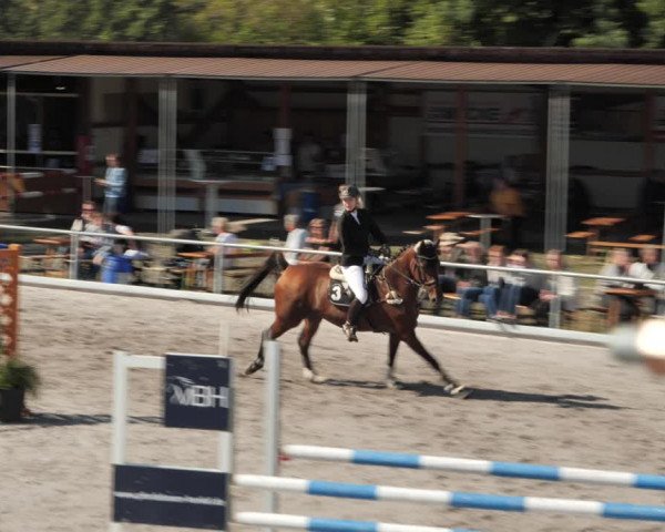 Reitturnier Nesselröden 2020