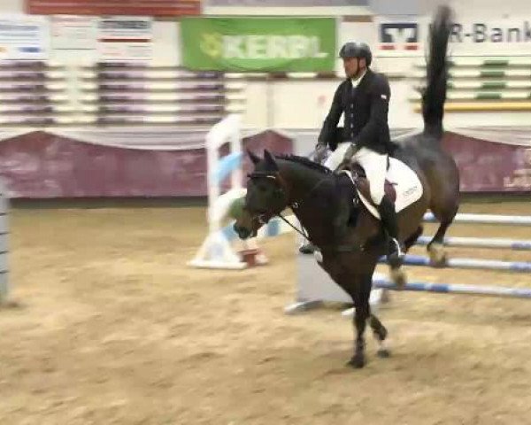 jumper Cornet Noir (Bavarian, 2009, from Corlensky G)