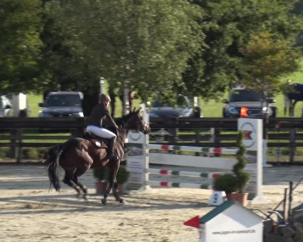 Reitturnier Kirchhellen/Stall Dieckmann 2020