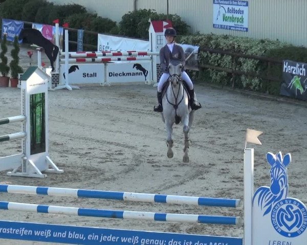 Reitturnier Kirchhellen/Stall Dieckmann 2020