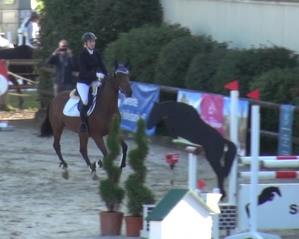 Reitturnier Kirchhellen/Stall Dieckmann 2020
