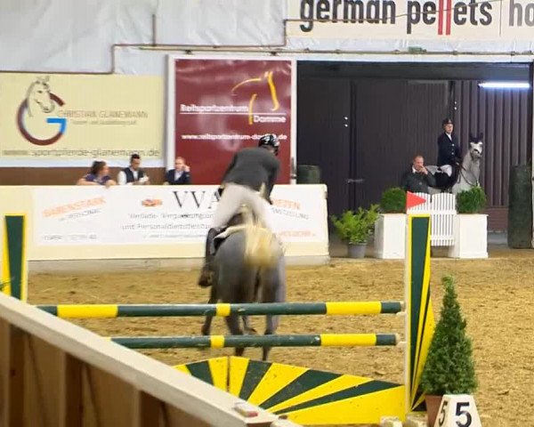 broodmare Beike (Holsteiner, 2009, from Ab 19 Chepetto)