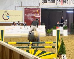 broodmare Beike (Holsteiner, 2009, from Ab 19 Chepetto)
