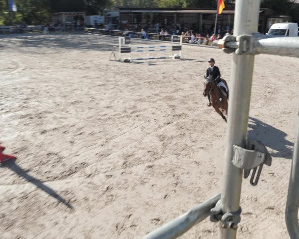 Reitturnier Nesselröden 2020